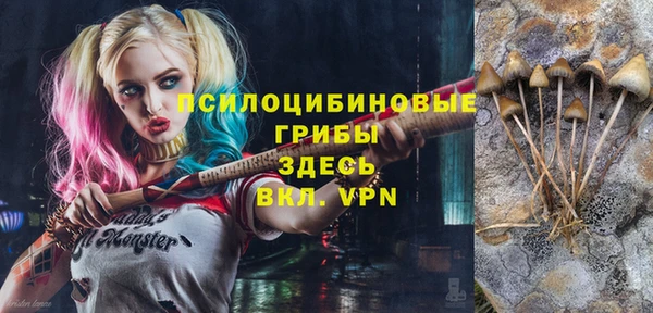 бошки Абаза