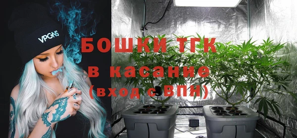 прущие грибы Алзамай