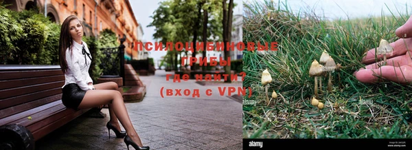 прущие грибы Алзамай