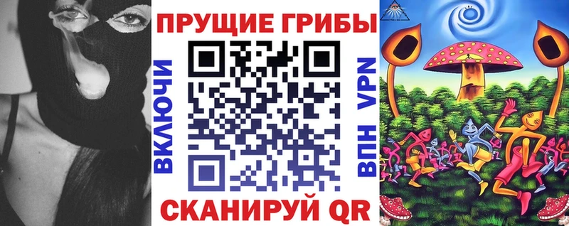 хочу   кракен как войти  Псилоцибиновые грибы Psilocybe  Чегем 